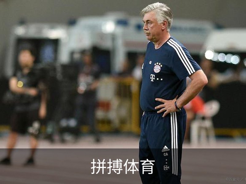 了解拼搏体育